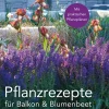 Waschbär Pflanzrezepte für Balkon und Blumenbeet. Hot