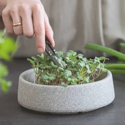 Waschbär Pflanzstation »Mikrogarten« aus Keramik. New