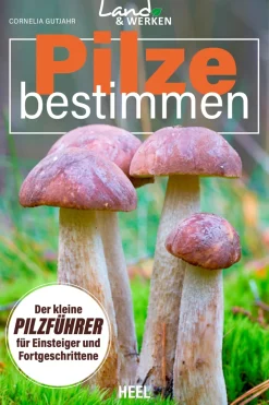 Waschbär Pilze bestimmen. Der kleine Pilzführer für Einsteiger und Fortgeschrittene. Clearance