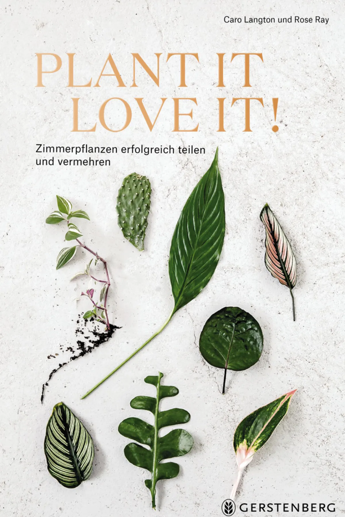 Waschbär Plant it - love it! Zimmerpflanzen erfolgreich teilen und vermehren. New