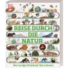 Waschbär Reise durch die Natur. Der ewige Kreislauf des Lebens. Sale