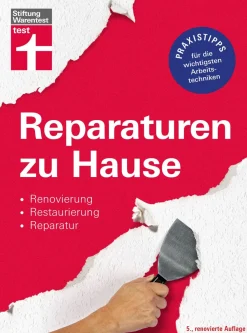 Waschbär Reparaturen zu Hause. Renovierung, Restaurierung, Reparatur. New
