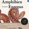 Waschbär Reptilien und Amphibien Europas.