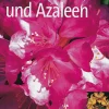 Waschbär Rhododendron und Azaleen Outlet
