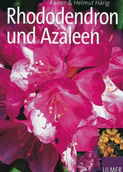 Waschbär Rhododendron und Azaleen Outlet