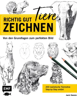 Waschbär Richtig gut Tiere zeichnen.