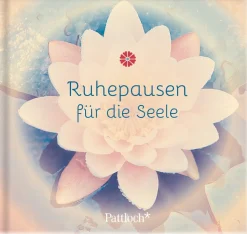 Waschbär Ruhepausen für die Seele. Sale