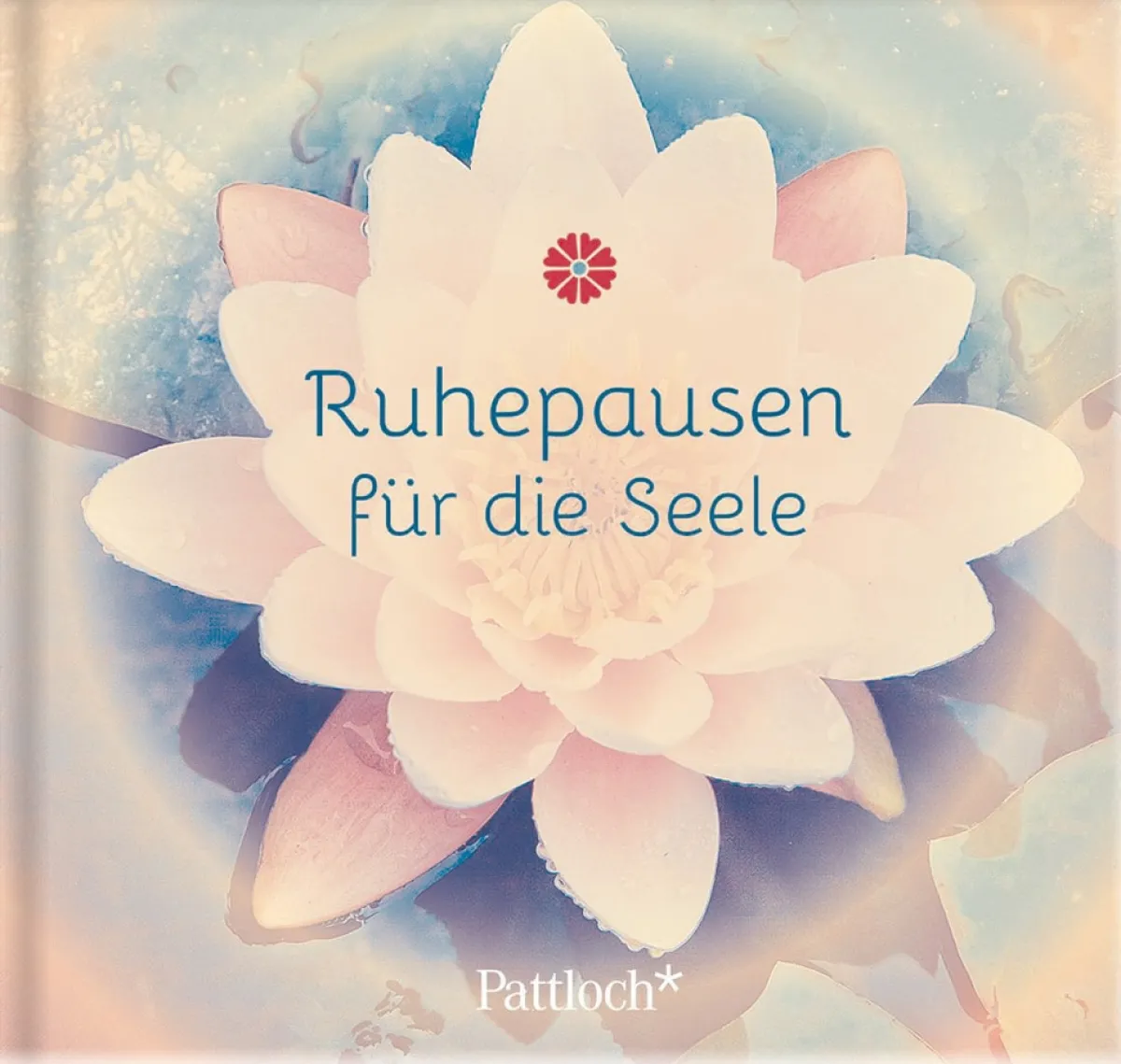 Waschbär Ruhepausen für die Seele. Sale