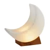 Waschbär Salzkristall-LED-Licht „Mond“ Sale