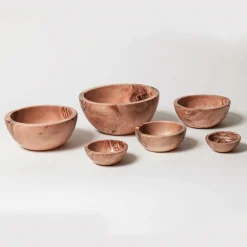 Waschbär Schalen aus Olivenholz im 6er-Set. Best