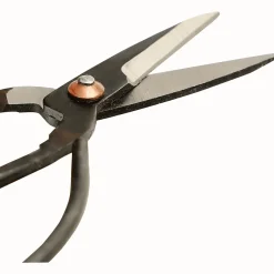 Waschbär Schere für Bonsai-Pflanzen und Blüten. Sale