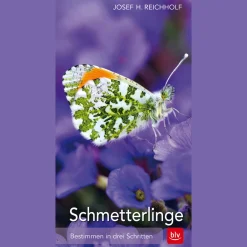 Waschbär Schmetterlinge. Bestimmen in drei Schritten. Sale