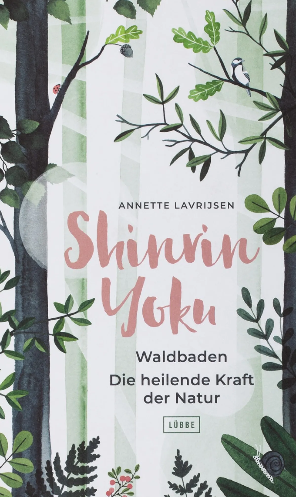 Waschbär Shinrin Yoku. Waldbaden. Die heilende Kraft der Natur. Hot