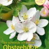 Waschbär So schneide ich meine Obstgehölze. Obstbäume & Beerensträucher. Outlet