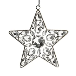 Waschbär Sonnenfänger Kristallstern Hot