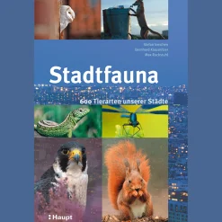 Waschbär Stadtfauna. 600 Tierarten unserer Städte. Clearance