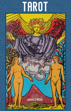 Waschbär Tarot. Das klassische englische Jugendstil-Tarot im praktischen Format. Hot