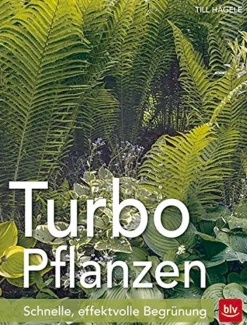 Waschbär Turbo-Pflanzen. Schnelle, effektvolle Begrünung. Sale