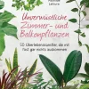 Waschbär Unverwüstliche Zimmer- und Balkonpflanzen. 50 Überlebenskünstler, die mit fast gar nichts auskommen. Outlet