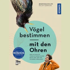 Waschbär Vögel bestimmen mit den Ohren. Outlet