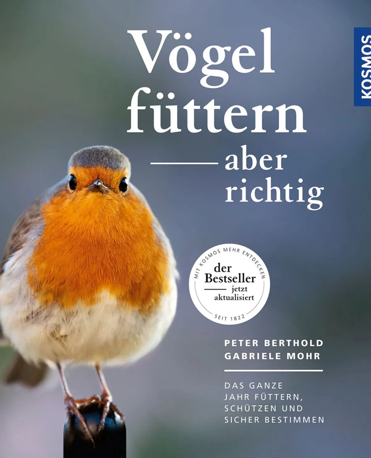 Waschbär Vögel füttern, aber richtig. Das ganze Jahr füttern, schützen und sicher bestimmen. Outlet