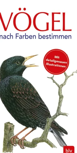 Waschbär Vögel nach Farben bestimmen. Discount