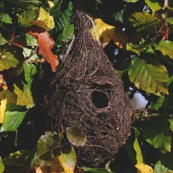 Waschbär Vogelnest für kleine Vögel. Outlet