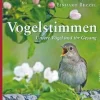 Waschbär Vogelstimmen - Unsere Vögel und ihr Gesang Best