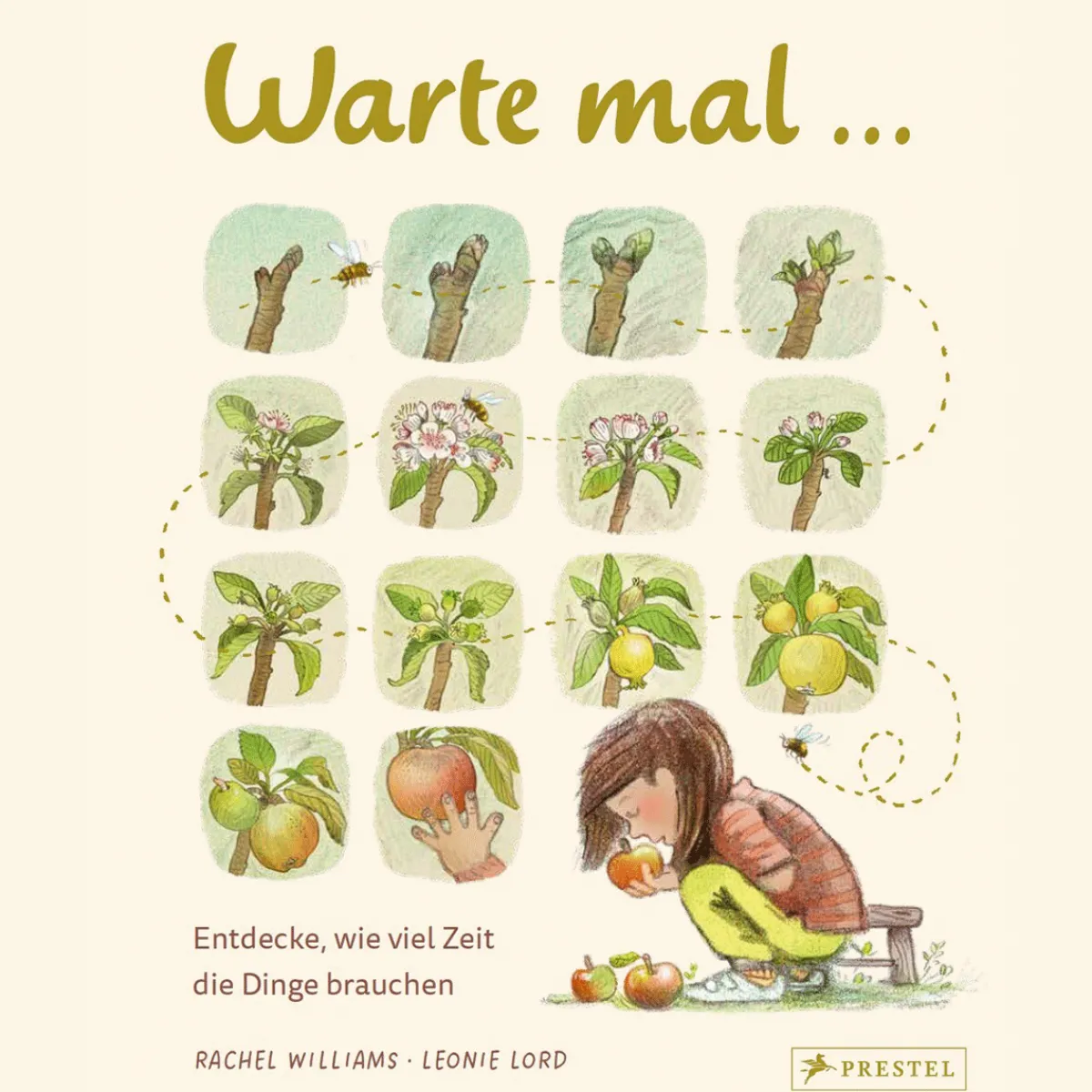 Waschbär Warte mal ...: Entdecke, wie viel Zeit die Dinge brauchen; ein Sachbilderbuch für Kinder ab 5 Jahren. Outlet