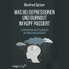 Waschbär Was bei Depressionen und Burnout im Kopf passiert. New