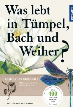 Waschbär Was lebt in Tümpel, Bach und Weiher? Pflanzen und Tiere unserer Gewässer. Discount