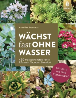 Waschbär Wächst fast ohne Wasser. Gärtnern mit dem Klimawandel. Online