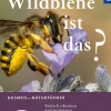 Waschbär Welche Wildbiene ist das? Einfach erkennen und bestimmen. Clearance