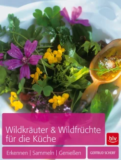 Waschbär Wildkräuter & Wildfrüchte für die Küche. Erkennen - Sammeln - Genießen. Online