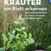 Waschbär Wildkräuter am Blatt erkennen. 74 essbare, heilende und giftige Arten.