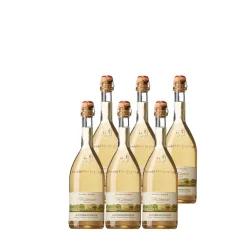 Waschbär Winterbirnentraum alkoholfrei, 6er-Set.