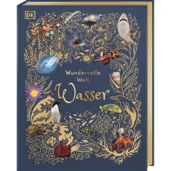 Waschbär Wundervolle Welt. Wasser. Hot