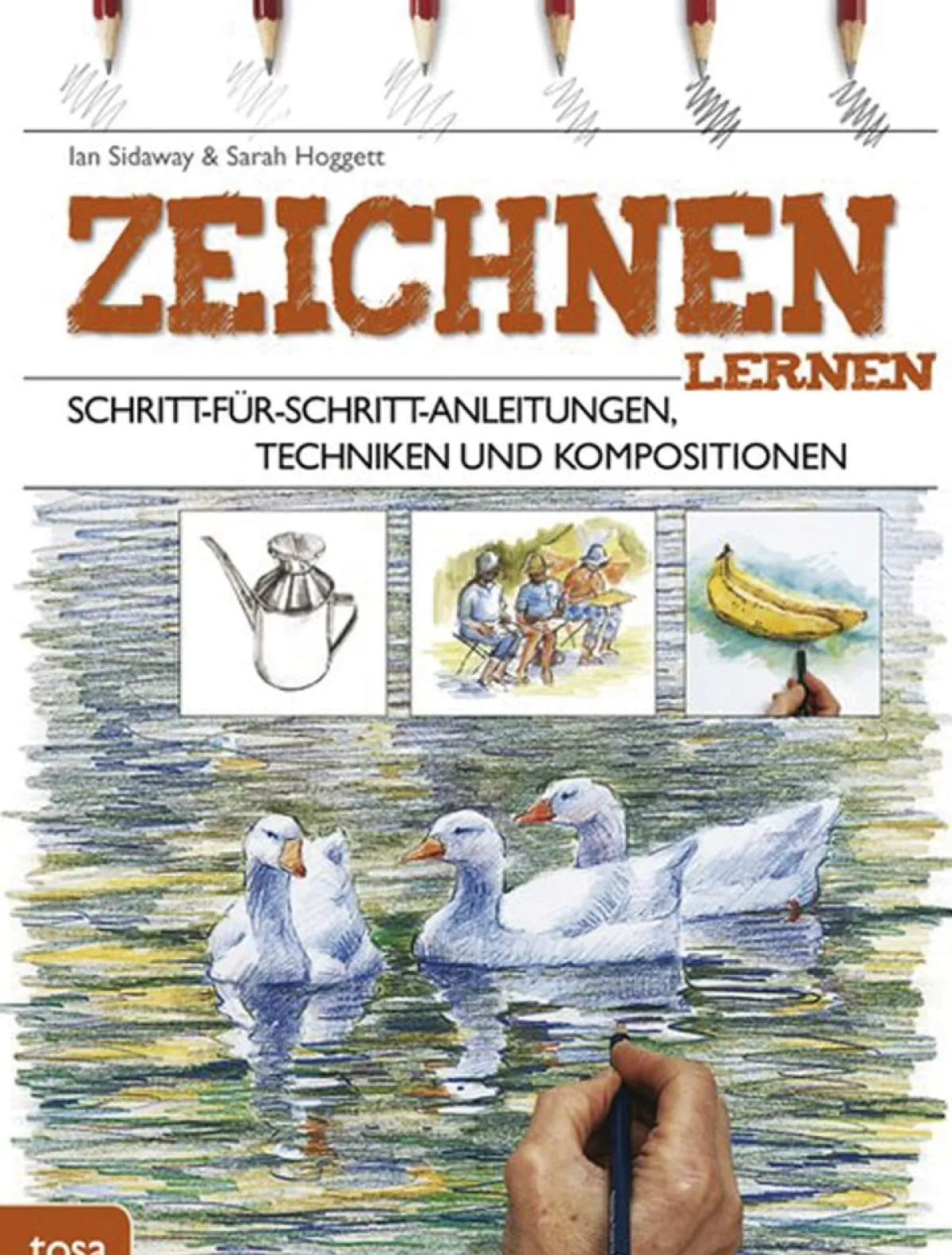 Waschbär Zeichnen lernen. Clearance