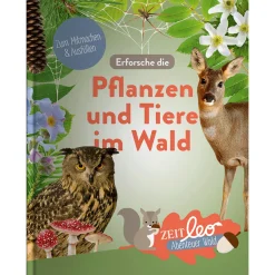 Waschbär ZEIT leo. Erforsche die Tiere und Pflanzen im Wald. New